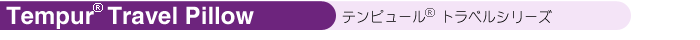 �ƥ�ԥ塼��ȥ�٥륷�꡼��
