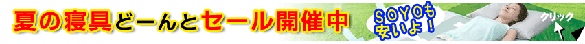 ��������ޥåȡ����������꡼�ס�������ѥåɤ˥����ȥ饹�ȡ��Ƥ��Ŭ�ˤ��뿲�񡢤���ޤ���