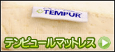 �ƥ�ԥ塼��ޥåȥ쥹