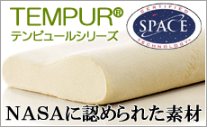 �ƥ�ԥ塼��