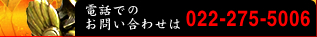 �����ֹ桡022-275-5006