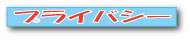 �ץ饤�Х����ݥꥷ��
