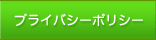 �ץ饤�Х����ݥꥷ��