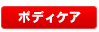 �ܥǥ�����