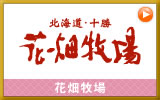 ��Ȫ�Ҿ�ξ��ʤϤ����餫��