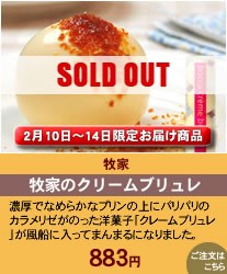 �Ҳȡ����꡼�५�������ɥץ��840��