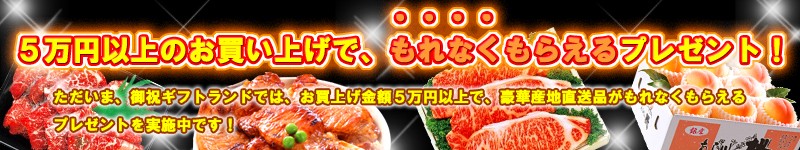 5���߰ʾ�Τ����Ǥ��ʤ��㤨��ץ쥼��ȼ»��桪