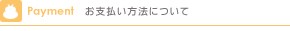 お支払い方法について