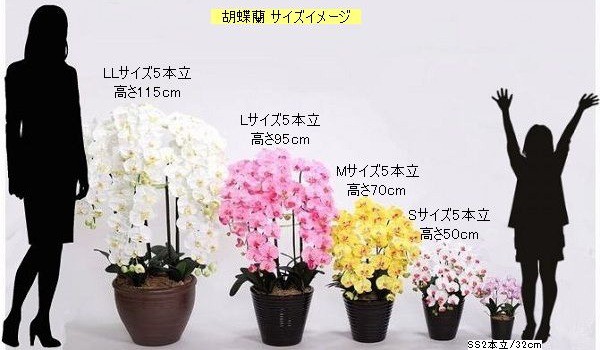 リアル胡蝶蘭sample【造花】アートフラワー・観葉植物のグリーンアート 
