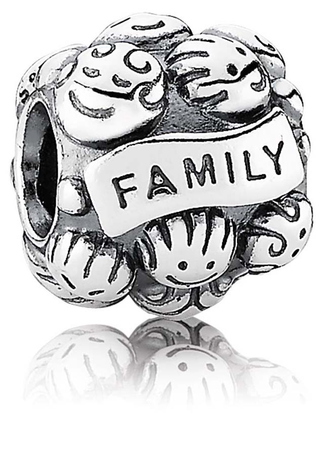 PANDORA CHARM ѥɥ㡼 791039