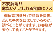 �԰²�á������ʤ��Ȥ����뿩���˥᥹