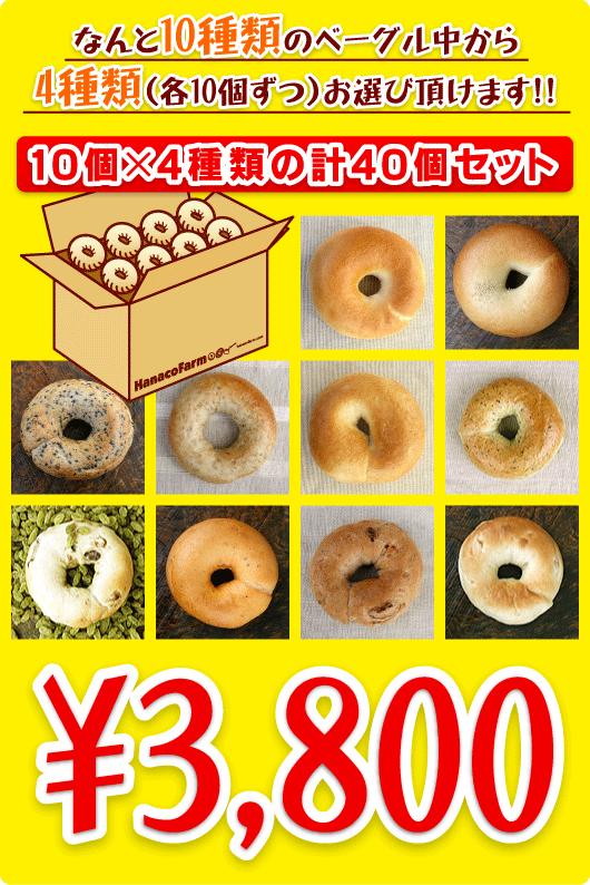 10種類から選べるベーグル40個セット送料無料