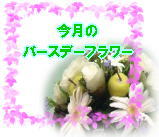 �С����ǡ��ե�