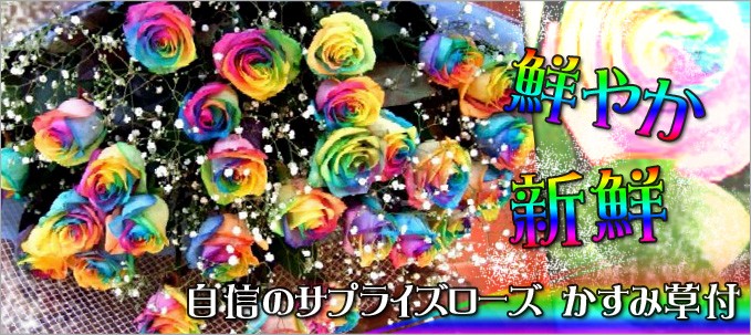 ���������䤫�������Υ��ץ饤��������������������