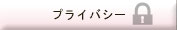 �ץ饤�Х����ݥꥷ��
