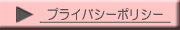 �ץ饤�Х����ݥꥷ��
