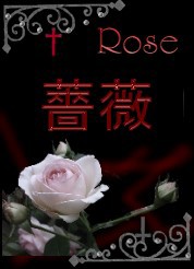 �鯥������Х�