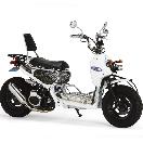 ZOOMER