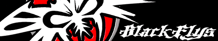 BlackFlys�ʥ֥�å��ե饤����