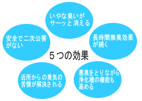 ������̵������5�Ĥθ���