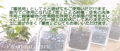 ��ݤ˥��顼ú