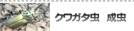 ���塞����������