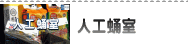 �͹��켼