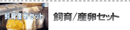 ���顦���񥻥å�
