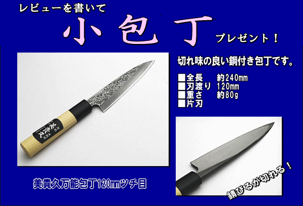 ��ӥ塼�����ڡ��󳫺���