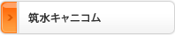 �޿奭��˥���