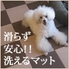 �֤�������ñ�����륫���ڥå�