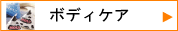 �ܥǥ�����
