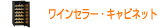 �磻�󥻥顼������ӥͥå�