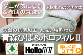 �ҤС��ۥ��ե���II