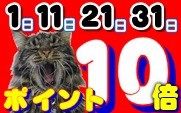 �ݥ����10��