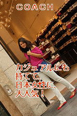coach(������)