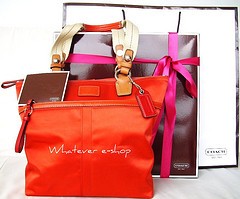 coach(������)