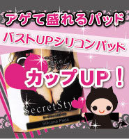 Secret Style�ʥ�������åȥ��������
