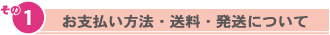 ����ʧ����ˡ