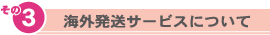 ����ȯ�������ӥ��ˤĤ���