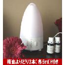 �����ޡ��ǡ��饤��