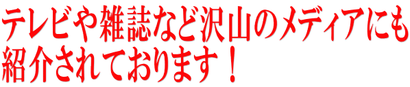 �ƥ�Ӥ仨��ʤ������Υ�ǥ����ˤ� �Ҳ𤵤�Ƥ���ޤ���