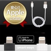 Smart ways Lightning �����֥�