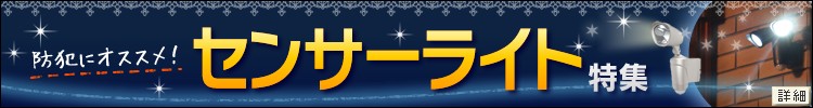 �ͤ�ư�����Τ��Ƽ�ư����������Τ����Ȥˤ⥪�����ᡪ���󥵡��饤���ý���