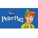 Peter Pan and Tinkerbell Costu