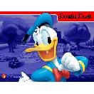 DONALD��DAISY DUCK COSTUMES