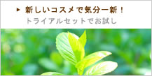 �ȥ饤���륻�å�