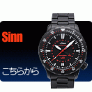 ����SINN
