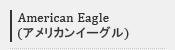 AMERICAN EAGLE/����ꥫ�󥤡�����