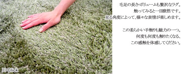 Detail ���ʾܺ�